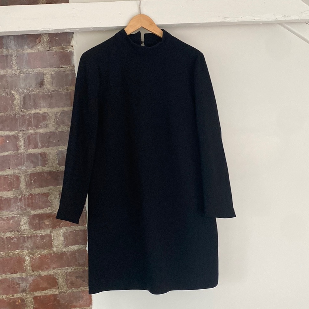 Zara Empire Waist Long Sleeved Shift Dress